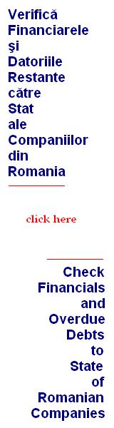 Flash Report - probabil cel mai rapid raport generat vreodata despre companiile din Romania